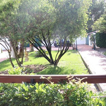 A Quinta Duna Salir de Porto ภายนอก รูปภาพ