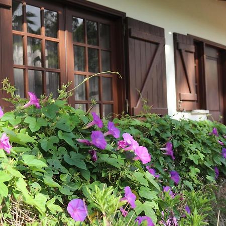 A Quinta Duna Salir de Porto ภายนอก รูปภาพ