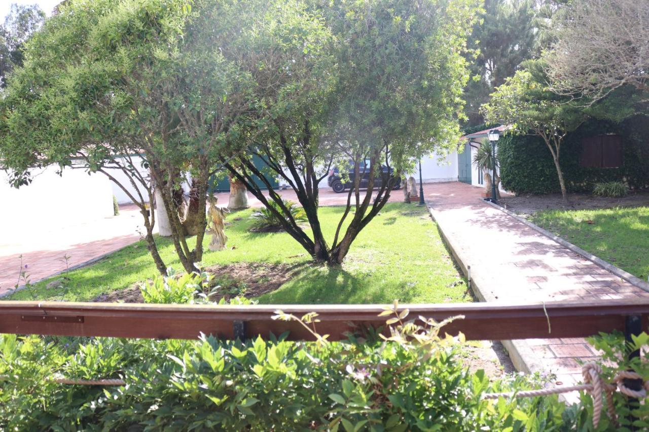A Quinta Duna Salir de Porto ภายนอก รูปภาพ