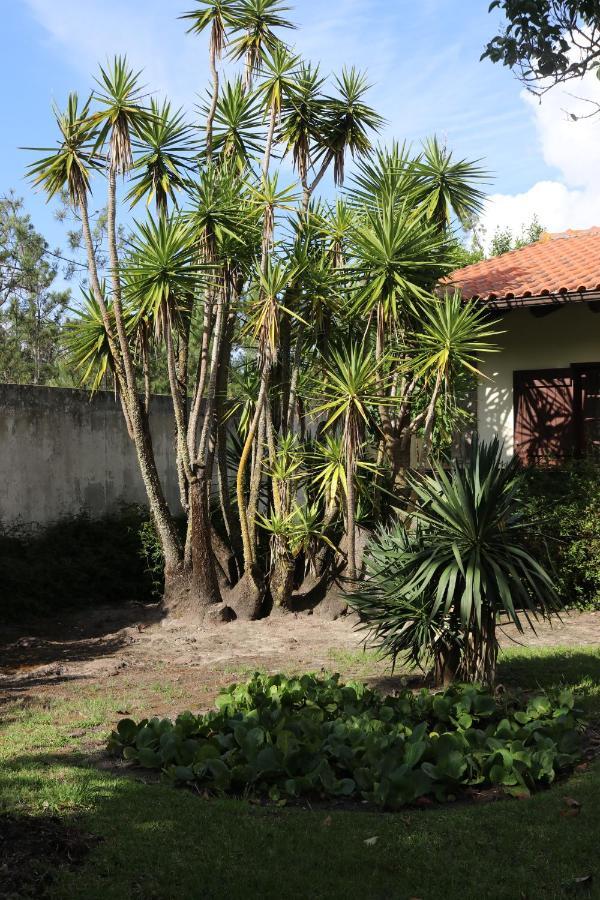 A Quinta Duna Salir de Porto ภายนอก รูปภาพ